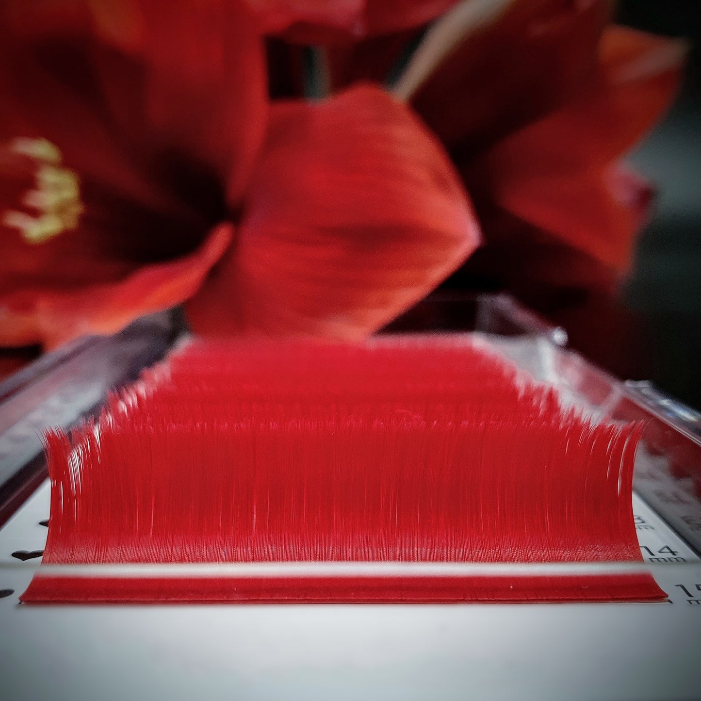 Blooming Colour Lashes 0.07 D-Curl