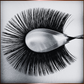 Blooming Lashes 0.07 D Mix Trays